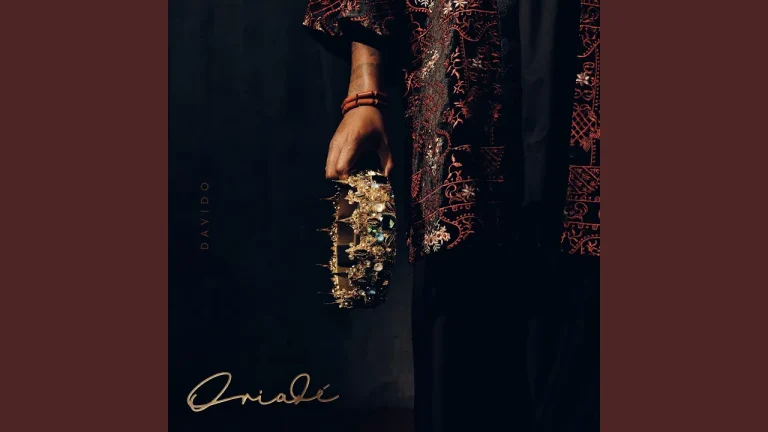 Davido Guide