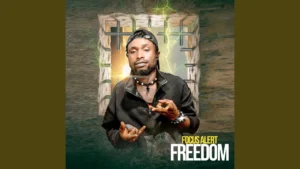 Focus Alert Freedom Single