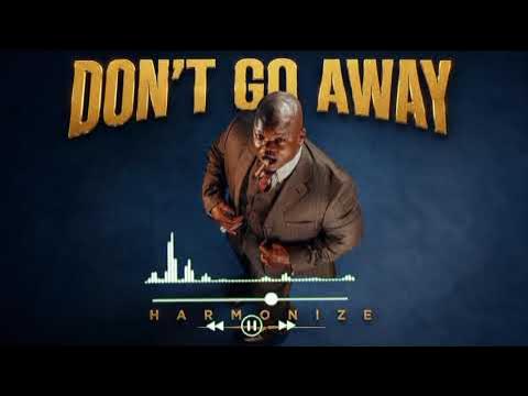 Harmonize Dont Go Away