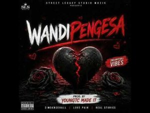 Youngtc Made It Wandipengesa